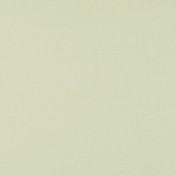 Бельгийская ткань Daylight, коллекция Colorful, артикул Colorful/Sand