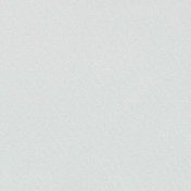 Бельгийская ткань Daylight, коллекция Colorful, артикул Colorful/Silver