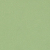 Бельгийская ткань Daylight, коллекция Colorful, артикул Colorful/Tea