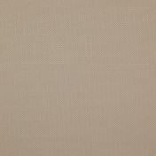 Бельгийская ткань Daylight, коллекция Falcon, артикул Falcon/Biscuit