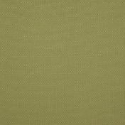 Бельгийская ткань Daylight, коллекция Falcon, артикул Falcon/Moss