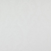 Бельгийская ткань Daylight, коллекция Florange, артикул Rouze/Snow