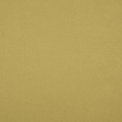 Бельгийская ткань Daylight, коллекция Fuzzy, артикул Shaggy/Banana