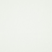 Бельгийская ткань Daylight, коллекция Grain, артикул Close/Pure