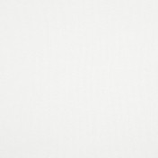 Бельгийская ткань Daylight, коллекция Grain, артикул Grain/Snow