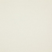 Бельгийская ткань Daylight, коллекция Grain, артикул Raw/Champagne