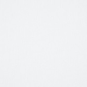 Бельгийская ткань Daylight, коллекция Grain, артикул Raw/Swan