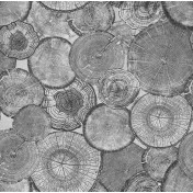 Бельгийская ткань Daylight, коллекция Gronzo, артикул Roslagen/Charcoal