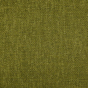 Бельгийская ткань Daylight, коллекция Jagger, артикул Jagger/Moss