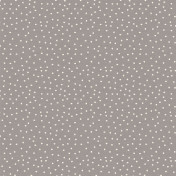 Бельгийская ткань Daylight, коллекция Lancashire, артикул Spotty/Pewter
