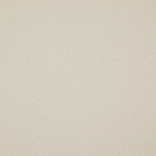 Бельгийская ткань Daylight, коллекция Mezzano 2, артикул Glow/Snow