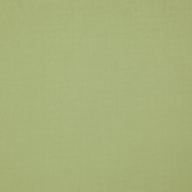 Бельгийская ткань Daylight, коллекция Mezzano 2, артикул Illuminator/Sage