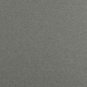 Бельгийская ткань Daylight, коллекция Mezzano, артикул Pollina/Carbon