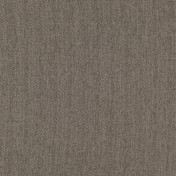 Бельгийская ткань Daylight, коллекция Mirandes, артикул Lint/Pinecone