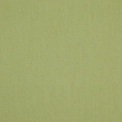 Бельгийская ткань Daylight, коллекция Mirandes, артикул Mirandes/Fern