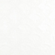 Бельгийская ткань Daylight, коллекция Patrica, артикул Brivio/Snow