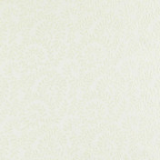 Бельгийская ткань Daylight, коллекция Patrica, артикул Cagliari/Nougat