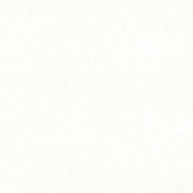 Бельгийская ткань Daylight, коллекция Primiero, артикул Primiero/Cream