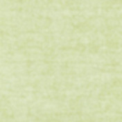 Бельгийская ткань Daylight, коллекция Primiero, артикул Primiero/Lichen