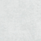 Бельгийская ткань Daylight, коллекция Primiero, артикул Primiero/Sterling