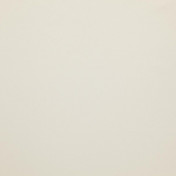 Бельгийская ткань Daylight, коллекция Pure Saten, артикул Amaze/Bone