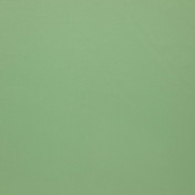 Бельгийская ткань Daylight, коллекция Pure Saten, артикул Orba/25