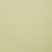 Бельгийская ткань Daylight, коллекция Pure Saten, артикул Orba/27