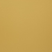 Бельгийская ткань Daylight, коллекция Pure Saten, артикул Orba/28