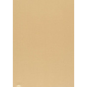 Бельгийская ткань Daylight, коллекция Pure Saten, артикул Vion/Buff