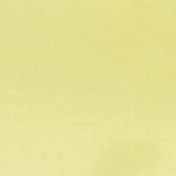 Бельгийская ткань Daylight, коллекция Pure Saten, артикул Vion/Hay