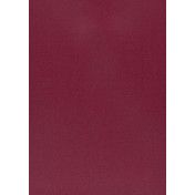 Бельгийская ткань Daylight, коллекция Pure Saten, артикул Vion/Passion