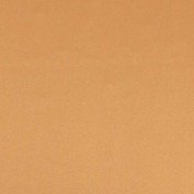 Бельгийская ткань Daylight, коллекция Pure Saten, артикул Vion/Terra