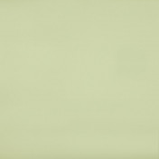 Бельгийская ткань Daylight, коллекция Rush, артикул 026/Pistachio