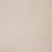 Бельгийская ткань Daylight, коллекция Rush, артикул 026/Taupe