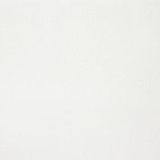 Бельгийская ткань Daylight, коллекция Rush, артикул 026/White