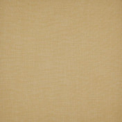 Бельгийская ткань Daylight, коллекция Simple, артикул Simple/Mimosa