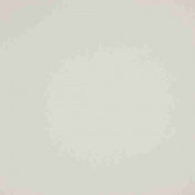 Бельгийская ткань Daylight, коллекция Supreme, артикул Cashmere/Pearl