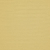 Бельгийская ткань Daylight, коллекция Welt, артикул Welt/Honey