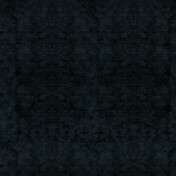 Бельгийская ткань Daylight, коллекция Widi, артикул Widi/Ink