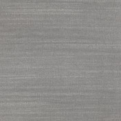 Итальянская ткань Dedar, коллекция Alter Ego, артикул T17042/013