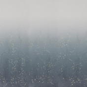 Итальянская ткань Dedar, коллекция Cosmic Confetti, артикул T17070/003