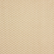 Итальянская ткань Dedar, коллекция Idea, артикул T17003/003