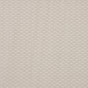 Итальянская ткань Dedar, коллекция Idea, артикул T17003/005