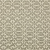 Итальянская ткань Dedar, коллекция Jacquards & Selected Weaves II, артикул T19018/005