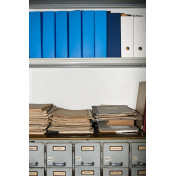 Итальянская ткань Dedar, коллекция Melville, артикул T16031/025