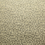 Итальянская ткань Dedar, коллекция Twist Again/Lora Logic/Engram, артикул T19019/002