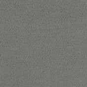 Английская ткань Designers Guild, коллекция Anshu, артикул FDG2896/13