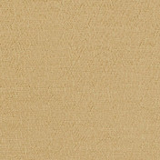 Английская ткань Designers Guild, коллекция Anshu, артикул FDG2896/24