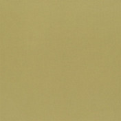 Английская ткань Designers Guild, коллекция Aquarelle, артикул FDG2196/07