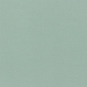 Английская ткань Designers Guild, коллекция Aquarelle, артикул FDG2196/23